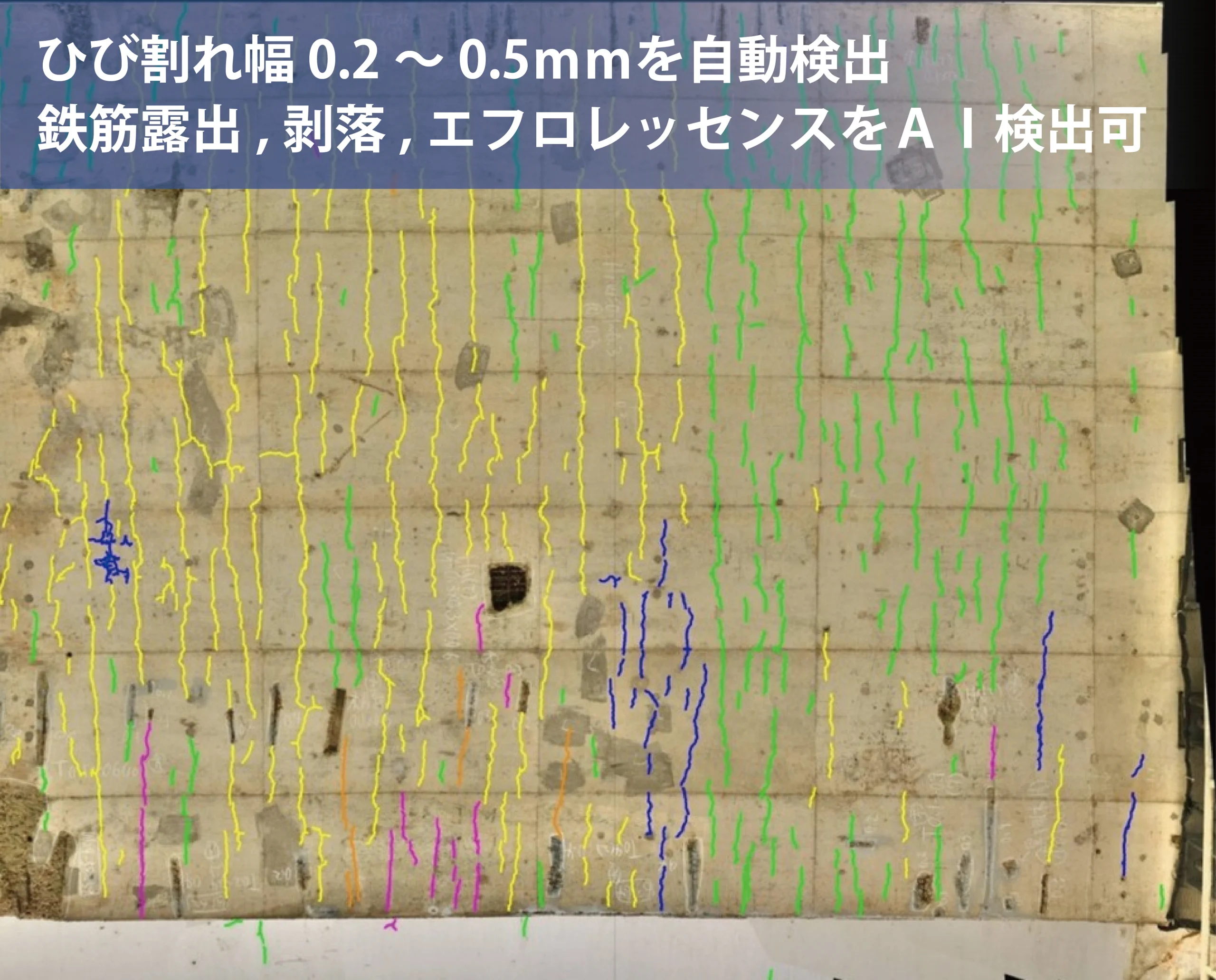 AutoCIMA（オートシーマ）画像からの検出プロセス③