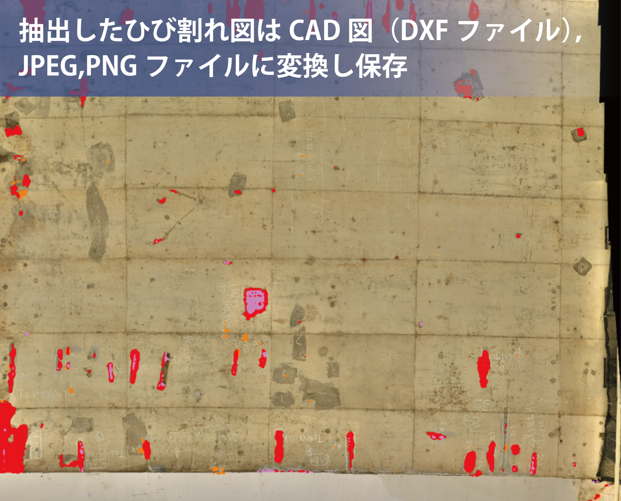 AutoCIMA（オートシーマ）画像からの検出プロセス④